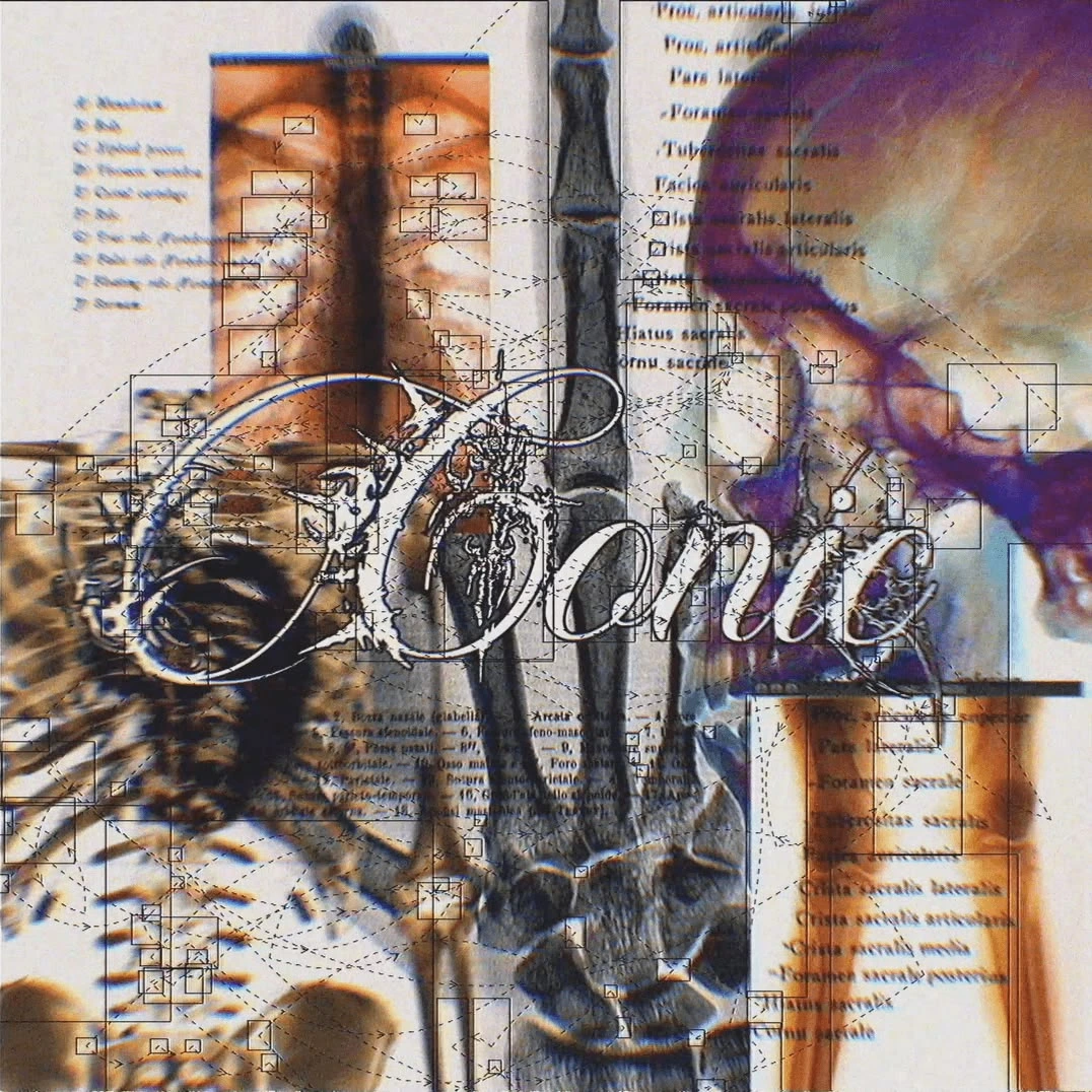 Conic visualizer thumbnail